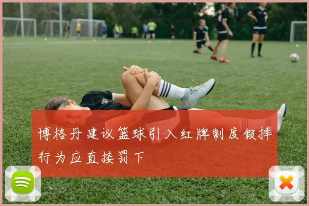 博格丹建议篮球引入红牌制度假摔行为应直接罚下